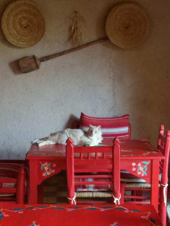 Отель Kasbah Timdaf Демнат Экстерьер фото